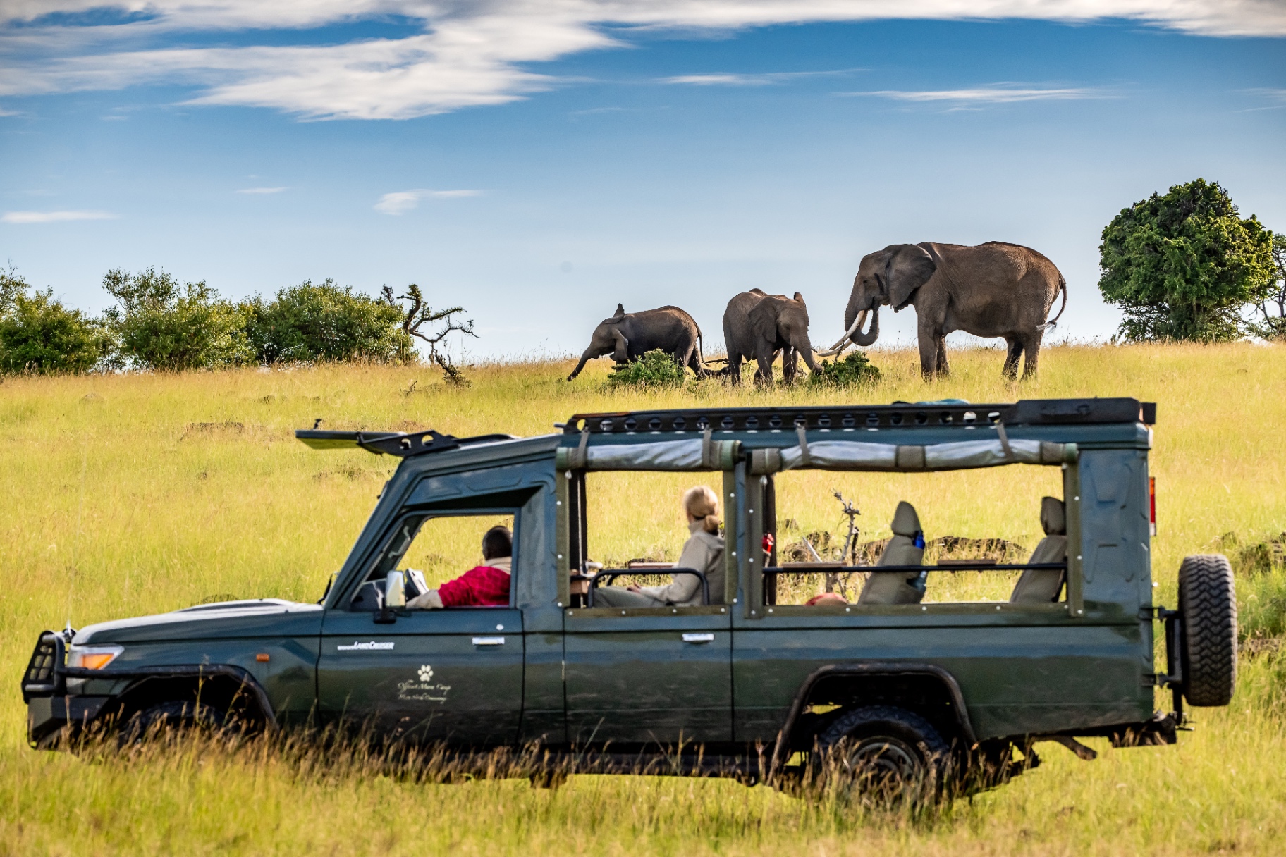 Offbeat Mara Camp
